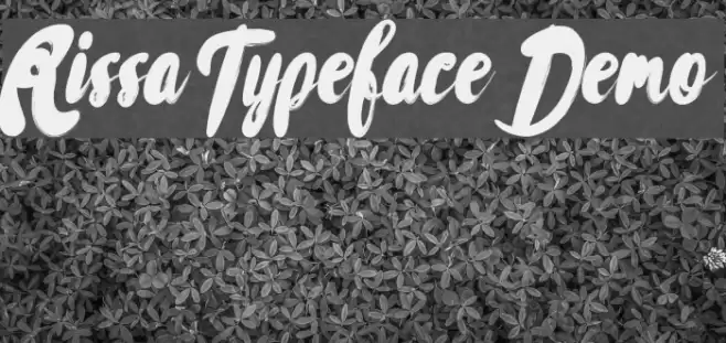 Rissa Typeface Demo フォント examples