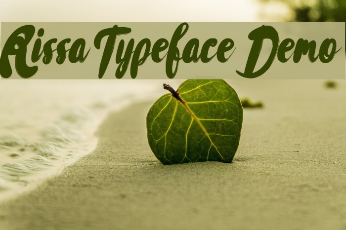 Rissa Typeface Demo フォント examples