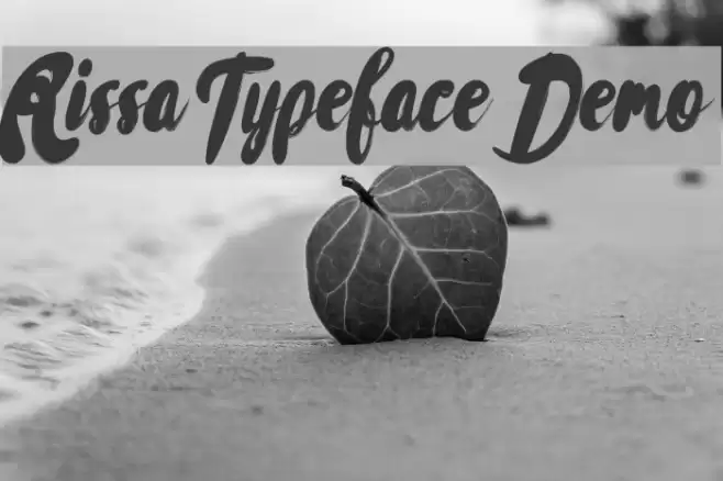 Rissa Typeface Demo フォント examples