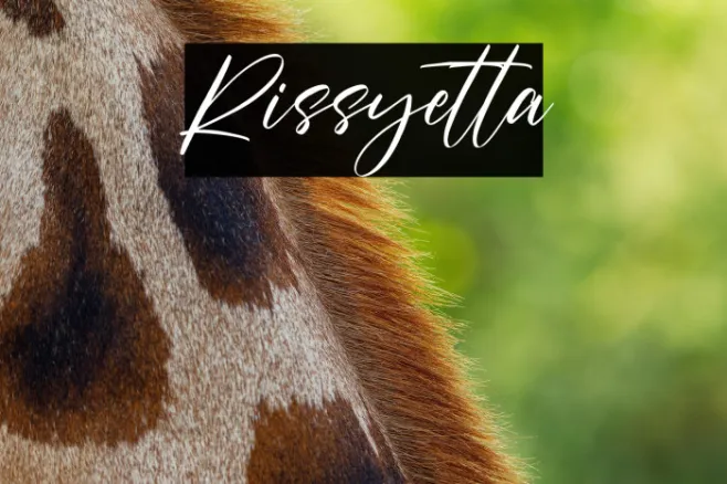Rissyetta Example 3