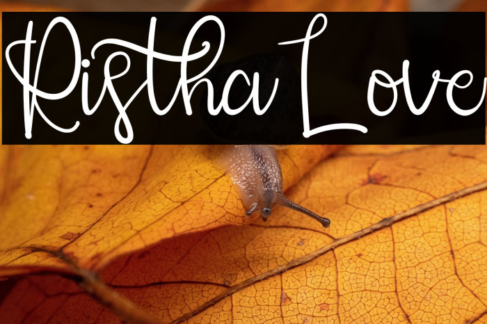 RisthaLove Example 3