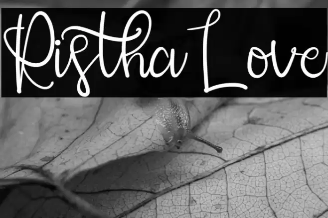 RisthaLove Polices examples