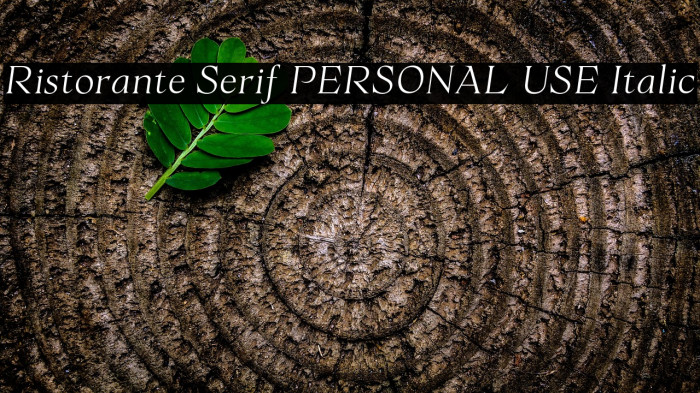 Ristorante Serif PERSONAL USE Italic Example 2