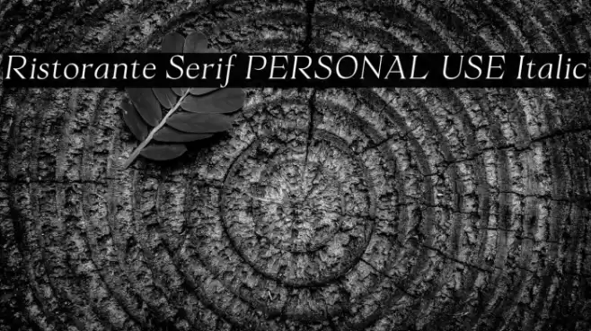 Ristorante Serif PERSONAL USE Italic Font examples
