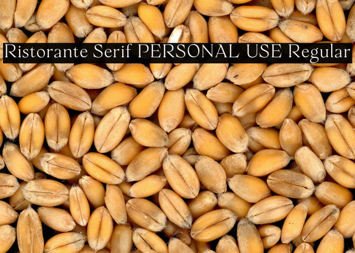Ristorante Serif PERSONAL USE Regular Example 2