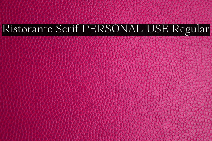 Ristorante Serif PERSONAL USE Regular Example 3