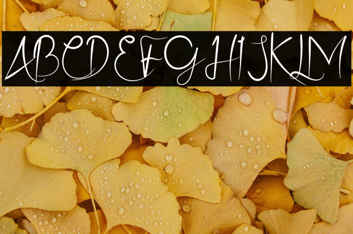 Ristty Style Example 3