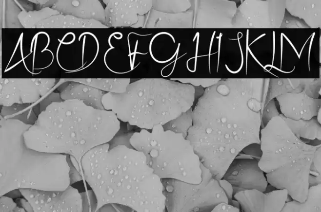 Ristty Style Caratteri examples