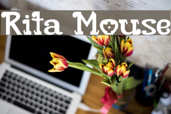 Rita Mouse Polices examples