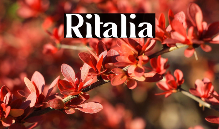 Ritalia Example 3