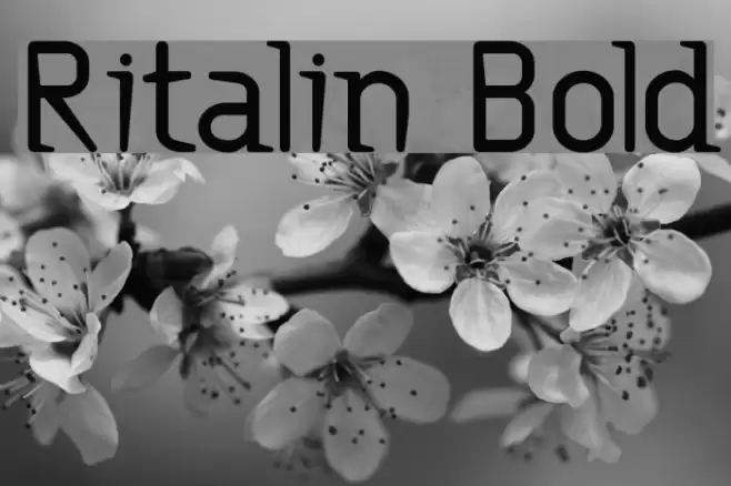 Ritalin Bold Font examples