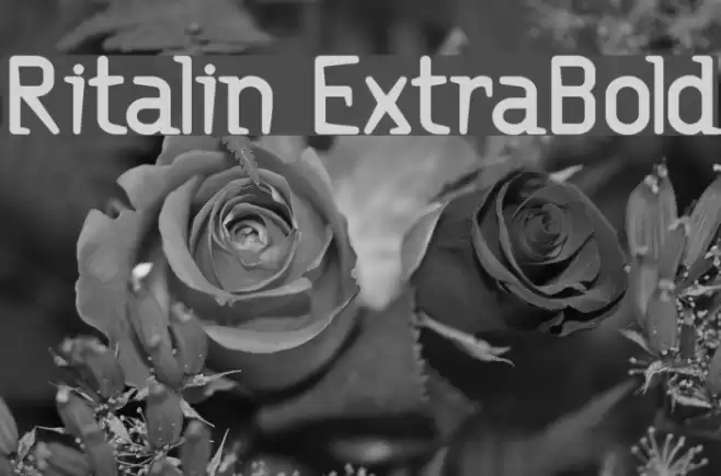 Ritalin ExtraBold Шрифта examples