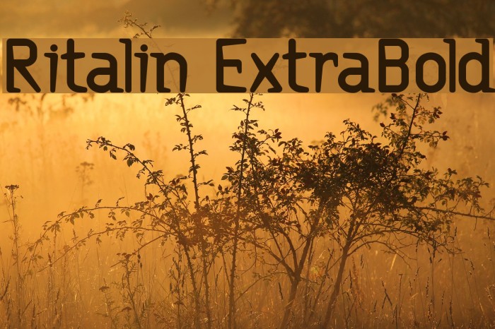 Ritalin ExtraBold Шрифта examples