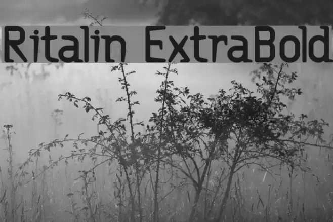 Ritalin ExtraBold Шрифта examples