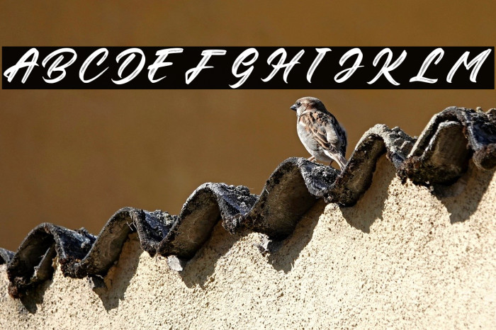 Rithem Personal Use Example 2