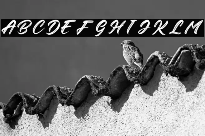 Rithem Personal Use Font examples