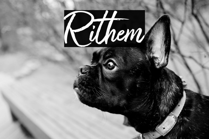 Rithem Example 3