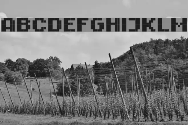 RittswoodImpresive Bold Fuentes examples