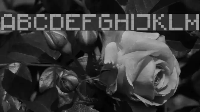 RittswoodImpresive Regular Fuentes examples