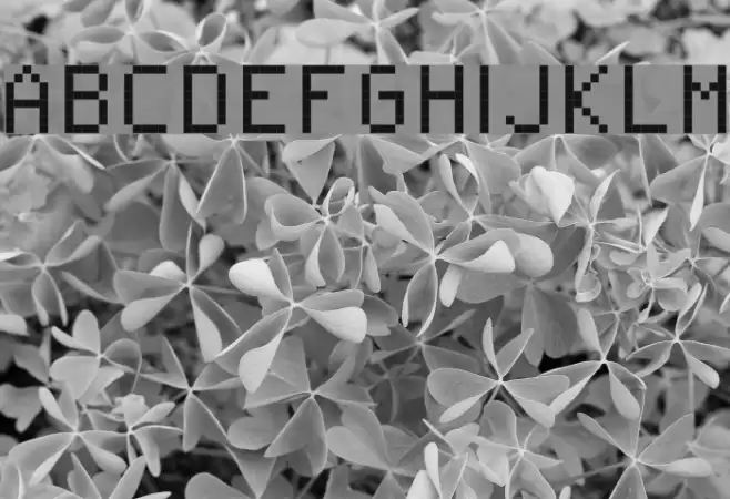 RittswoodPlaza Regular Polices examples