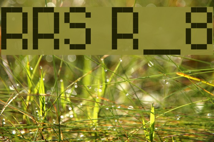 RittswoodRedStar Regular_8 Font examples