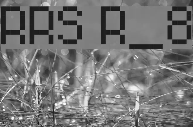 RittswoodRedStar Regular_8 Font examples