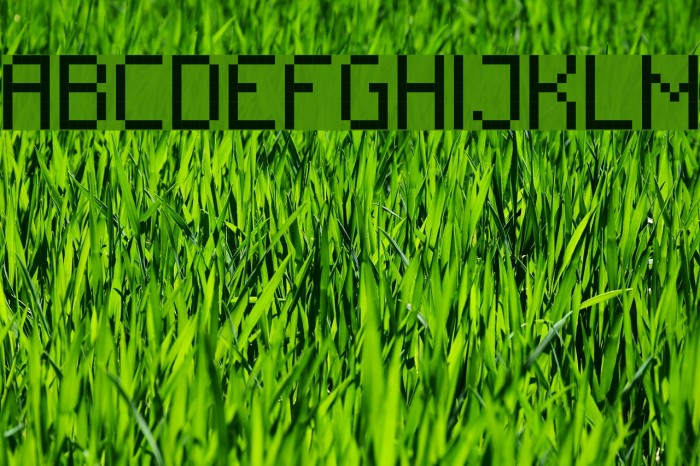 RittswoodTechnical Regular Font examples