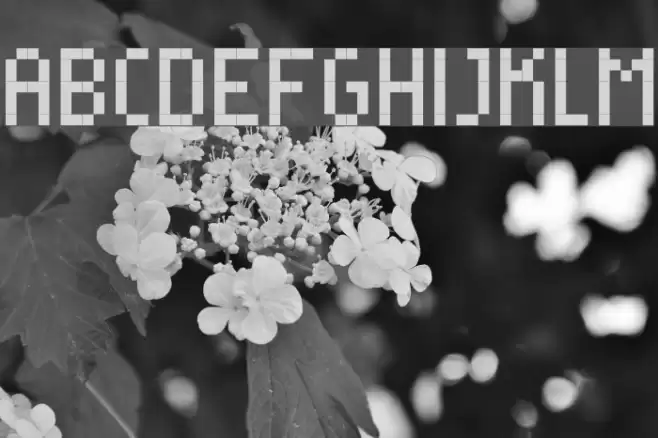 RittswoodYoung Regular Caratteri examples