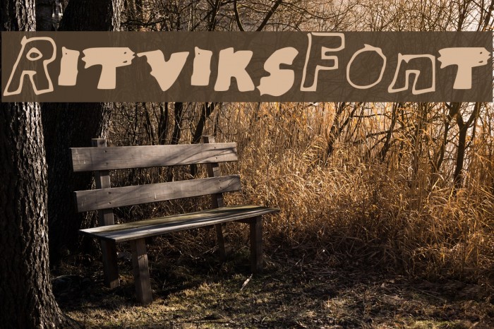 RitviksFont Font examples