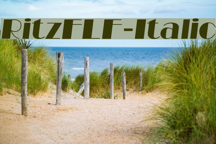 RitzFLF-Italic Font examples