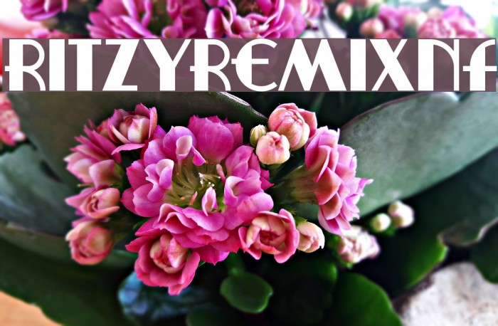 RitzyRemixNF Font examples