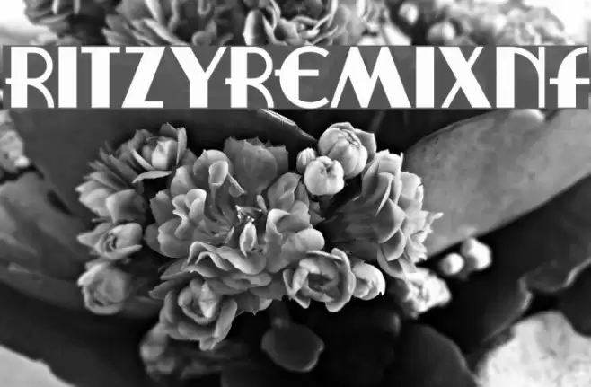 RitzyRemixNF Fuentes examples