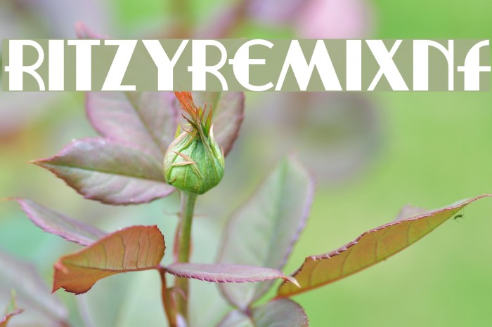 RitzyRemixNF Font examples