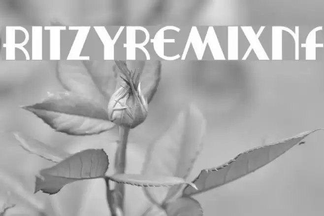 RitzyRemixNF Fuentes examples