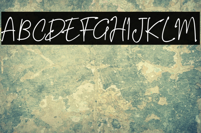 Riujin Palluy Example 1