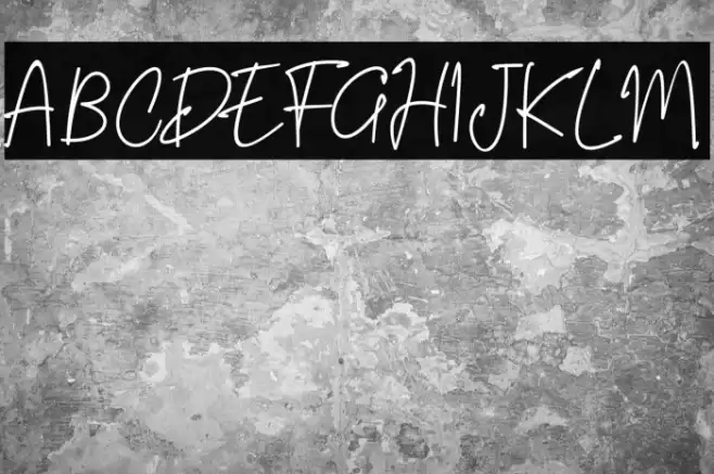 Riujin Palluy Font examples