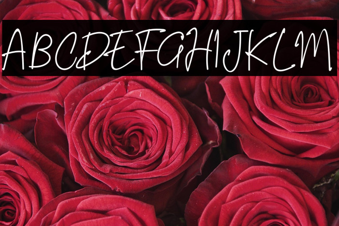 Riujin Palluy Example 2