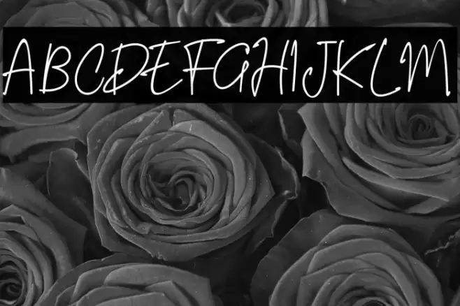 Riujin Palluy Font examples