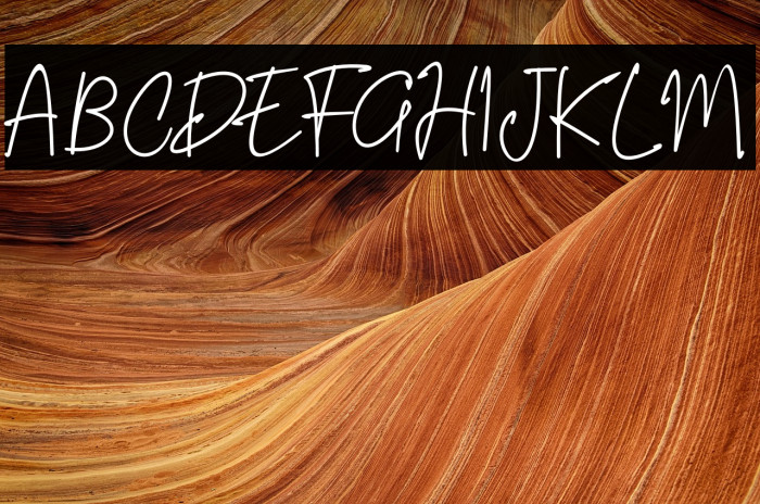 Riujin Palluy Example 3