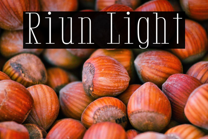 Riun Light Example 1