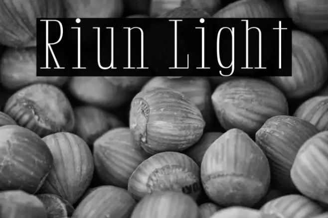 Riun Light フォント examples