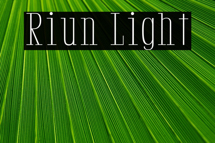 Riun Light Example 3