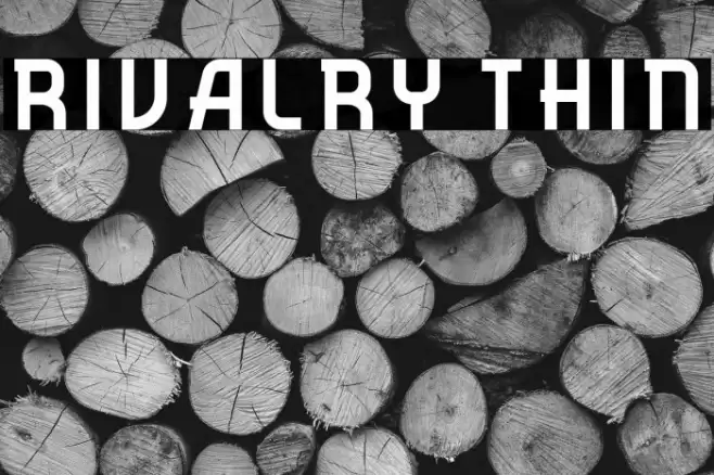 Rivalry Thin Font examples
