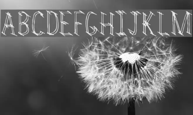 Rivalry フォント examples