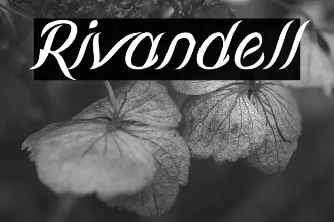 Rivandell Font examples