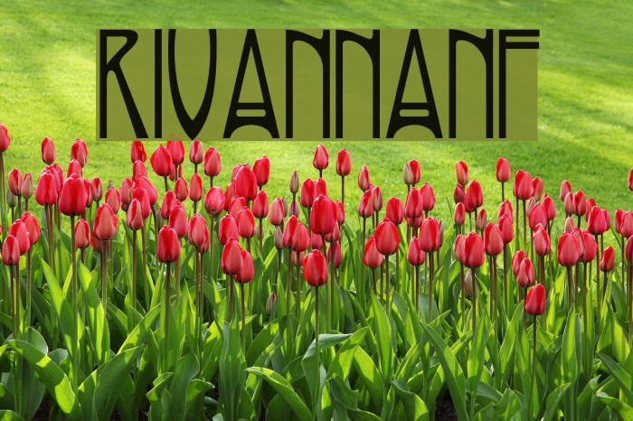 RivannaNF Font examples