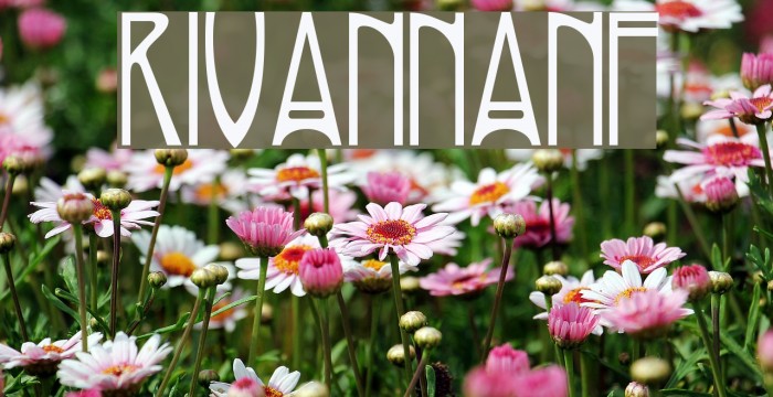 RivannaNF Font examples
