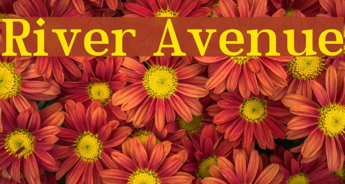 River Avenue Font examples