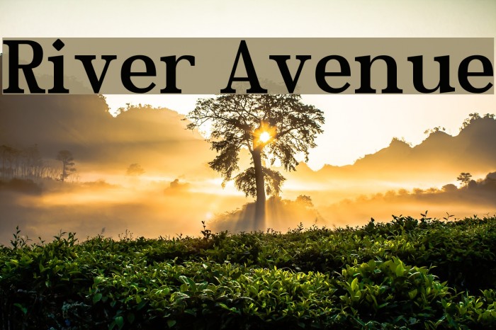 River Avenue Font examples