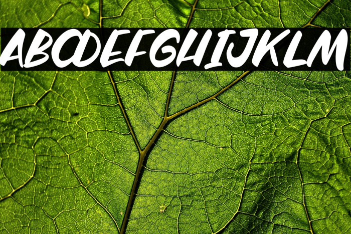 River Script Example 1